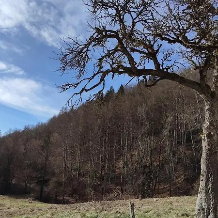 Maison Chartrousine Nature Park *
