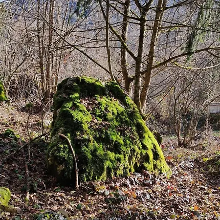 Maison Chartrousine Nature Park *